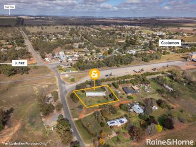 House For Sale - NSW - Marrar - 2652 - Lifestyle Living in Marrar  (Image 2)