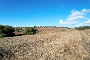 Residential Block For Sale - NSW - Merriwa - 2329 - Ideal Semi-rural Residential Block!  (Image 2)