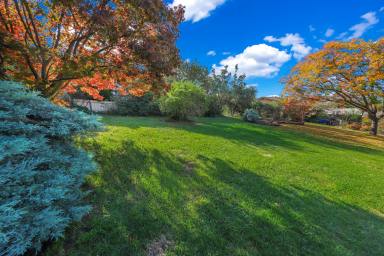 House For Sale - NSW - Tumut - 2720 - Centrally Located Gem  (Image 2)