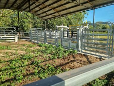 Lifestyle For Sale - NT - Marrakai - 0822 - Blackwater farm  (Image 2)