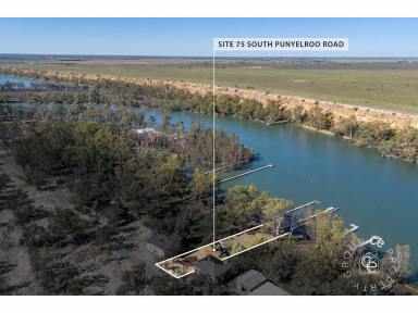Residential Block For Sale - SA - Punyelroo - 5353 - Large Riverfront Allotment  (Image 2)