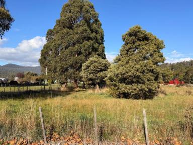 Residential Block For Sale - TAS - Meander - 7304 - Secure Your Slice of Meander – Land Available Now at 123 Main Road, TAS (Image 2)
