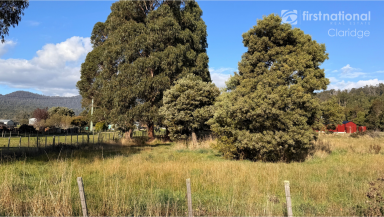 Residential Block For Sale - TAS - Meander - 7304 - Secure Your Slice of Meander – Land Available Now at 123 Main Road, TAS  (Image 2)