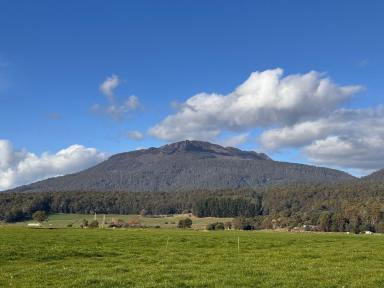 Residential Block For Sale - TAS - Meander - 7304 - Secure Your Slice of Meander – Land Available Now at 123 Main Road, TAS  (Image 2)