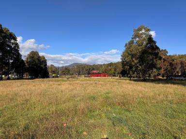 Residential Block For Sale - TAS - Meander - 7304 - Prime Land for Sale at 125 Main Road, Meander TAS – Your Perfect Opportunity Awaits!  (Image 2)