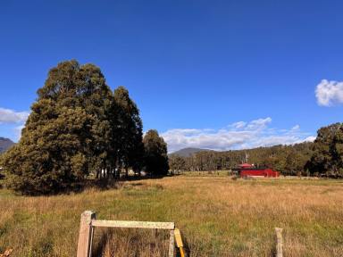 Residential Block For Sale - TAS - Meander - 7304 - Prime Land for Sale at 125 Main Road, Meander TAS – Your Perfect Opportunity Awaits! (Image 2)
