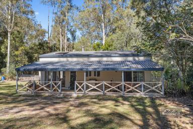 House For Sale - QLD - Curra - 4570 - SUSTAINABLE LIVING STARTS HERE  (Image 2)