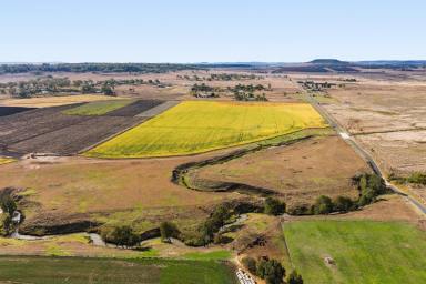 Lifestyle For Sale - QLD - Allora - 4362 - Flexible Rural Lifestyle Opportunity Across Three Individual Titles!  (Image 2)