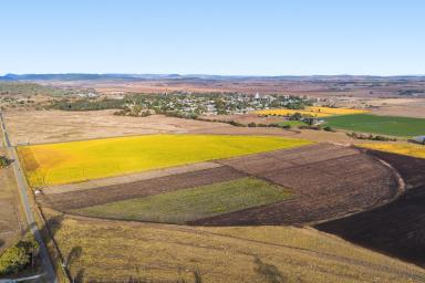 Lifestyle For Sale - QLD - Allora - 4362 - Flexible Rural Lifestyle Opportunity Across Three Individual Titles! (Image 2)
