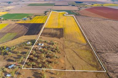 Cropping For Sale - QLD - Allora - 4362 - Versatile Creek Frontage Holding with Extensive Infrastructure!  (Image 2)