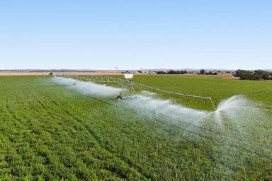 Cropping For Sale - QLD - Allora - 4362 - "RIVERSLEIGH"  (Image 2)