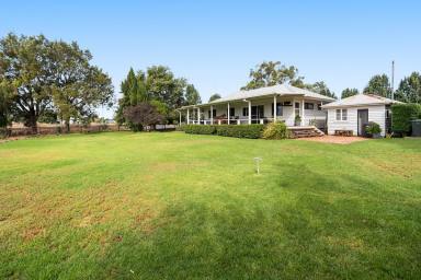 Cropping For Sale - QLD - Allora - 4362 - "RIVERSLEIGH"  (Image 2)