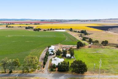 Cropping For Sale - QLD - Allora - 4362 - "RIVERSLEIGH"  (Image 2)