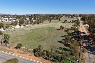 Residential Block For Sale - WA - York - 6302 - Build Your Country Escape in York on 5 acres  (Image 2)