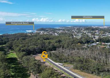 Residential Block For Sale - NSW - Mollymook - 2539 - Coastal Opportunity with Luxury Plans Already in Motion  (Image 2)