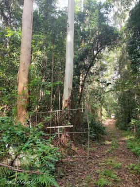 Residential Block For Sale - QLD - Bridges - 4561 - Rare 19-Acre Hinterland Escape Off-Grid Living with Creek, Views & Endless Potential  (Image 2)