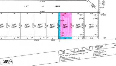 Residential Block For Sale - VIC - Wallan - 3756 - Build Your Future 630sqm Opportunity in the Heart of Wallan  (Image 2)