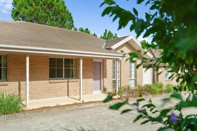 Unit For Sale - NSW - Raymond Terrace - 2324 - FREESTANDING, SPACIOUS, LOW MAINTENANCE!  (Image 2)