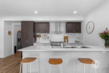 House For Sale - VIC - Cranbourne South - 3977 - Modern Family Sanctuary  (Image 2)