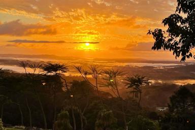 Acreage/Semi-rural For Sale - QLD - Hunchy - 4555 - Uninterrupted Coastal Views - Sunshine Coast Hinterland  (Image 2)