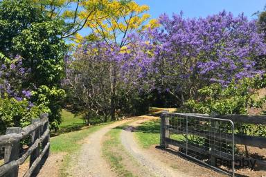 Acreage/Semi-rural For Sale - QLD - Hunchy - 4555 - Uninterrupted Coastal Views - Sunshine Coast Hinterland  (Image 2)