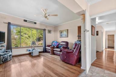 Lifestyle For Sale - VIC - Simpson - 3266 - COUNTRY LIFESTYLE STARTER  (Image 2)