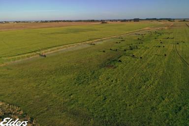 Mixed Farming For Sale - VIC - Woodside - 3874 - Gippsland Coastal Plains  (Image 2)