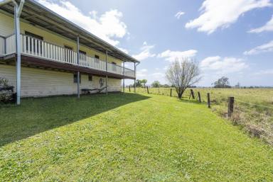 Lifestyle For Sale - NSW - Calliope - 2462 - 25 ACRES WITH ENDLESS POTENTIAL  (Image 2)