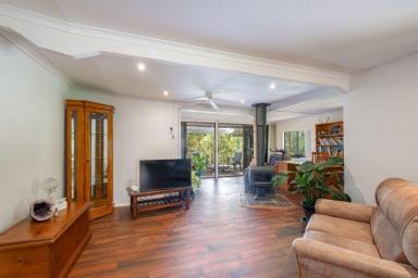 Acreage/Semi-rural For Sale - QLD - Mothar Mountain - 4570 - Peaceful 12.62ha retreat with cozy 2-bed home  (Image 2)