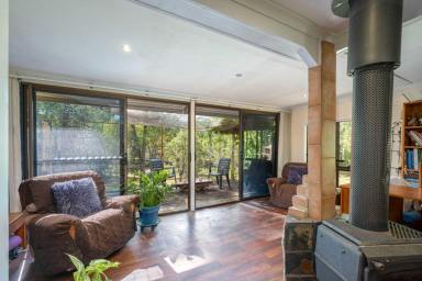 Acreage/Semi-rural For Sale - QLD - Mothar Mountain - 4570 - Peaceful 12.62ha retreat with cozy 2-bed home  (Image 2)