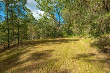 Residential Block For Sale - QLD - Mothar Mountain - 4570 - Peaceful 12.62ha in a highly sought after Mothar Mountain location  (Image 2)