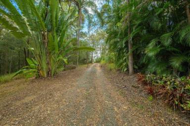 Residential Block For Sale - QLD - Mothar Mountain - 4570 - Peaceful 12.62ha in a highly sought after Mothar Mountain location  (Image 2)