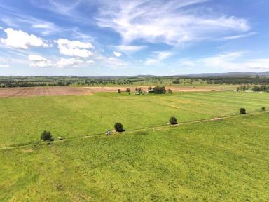 Mixed Farming For Sale - NSW - Kyogle - 2474 - HIGHLY PRODUCTIVE PROPERTY WITH WATER SECURITY  (Image 2)
