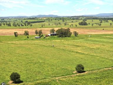 Mixed Farming For Sale - NSW - Kyogle - 2474 - HIGHLY PRODUCTIVE PROPERTY WITH WATER SECURITY  (Image 2)