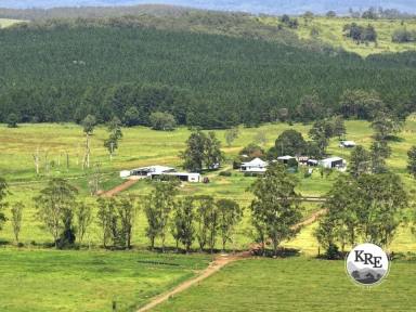 Mixed Farming For Sale - NSW - Kyogle - 2474 - HIGHLY PRODUCTIVE PROPERTY WITH WATER SECURITY  (Image 2)