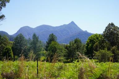 Lifestyle For Sale - NSW - Kunghur - 2484 - "BIG SKY COUNTRY"  (Image 2)
