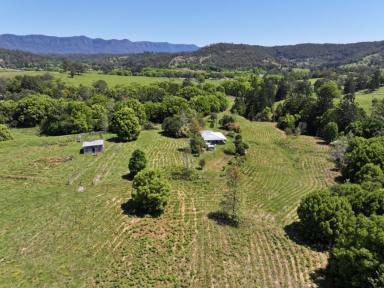 Lifestyle For Sale - NSW - Kunghur - 2484 - "BIG SKY COUNTRY"  (Image 2)