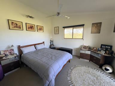 Lifestyle Sold - NSW - Kungala - 2460 - 100 ACRES WITH TWO HOUSES  (Image 2)