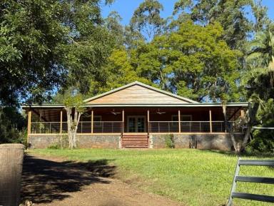 Mixed Farming For Sale - NSW - Kyogle - 2474 - LAST OF THE RURAL SUBDIVISIONS  (Image 2)