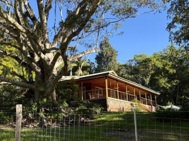 Mixed Farming For Sale - NSW - Kyogle - 2474 - LAST OF THE RURAL SUBDIVISIONS  (Image 2)