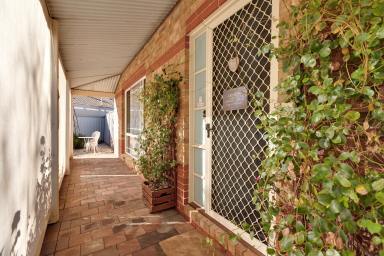 House For Sale - VIC - Mildura - 3500 - Comfortable Living with Space to Store, Relax and Enjoy  (Image 2)