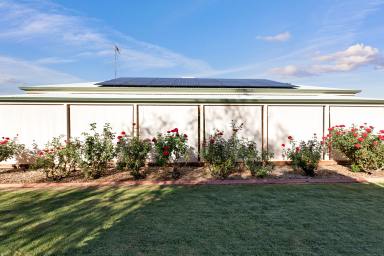 House For Sale - VIC - Mildura - 3500 - Comfortable Living with Space to Store, Relax and Enjoy  (Image 2)
