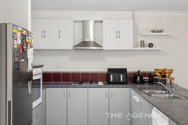 House For Sale - WA - Ellenbrook - 6069 - The Perfect Starter Home in a Prime Location  (Image 2)
