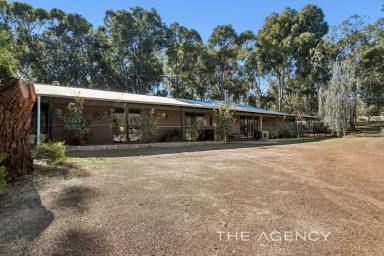 Acreage/Semi-rural For Sale - WA - Morangup - 6083 - "All The Fruit"  (Image 2)