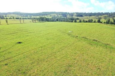 Mixed Farming For Sale - NSW - Kyogle - 2474 - LIVESTOCK, CROPPING & IRRIGATION  (Image 2)