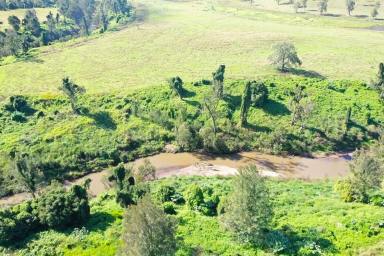 Mixed Farming For Sale - NSW - Kyogle - 2474 - LIVESTOCK, CROPPING & IRRIGATION  (Image 2)