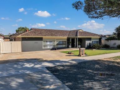 House For Sale - VIC - Echuca - 3564 - Room for Everyone – A Home Packed with Possibility  (Image 2)