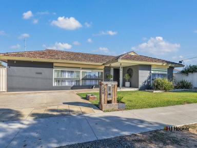 House For Sale - VIC - Echuca - 3564 - Room for Everyone – A Home Packed with Possibility  (Image 2)