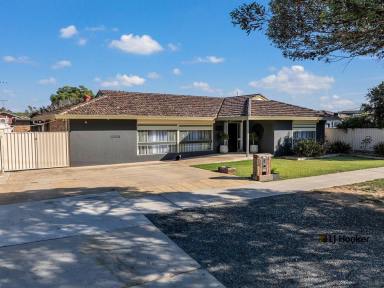 House For Sale - VIC - Echuca - 3564 - Room for Everyone – A Home Packed with Possibility  (Image 2)