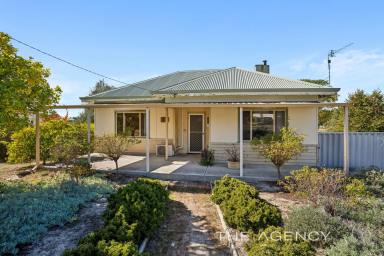 House For Sale - WA - Collie - 6225 - Open Monday 10:00am  (Image 2)